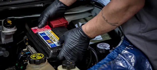 Imagem de Instalação